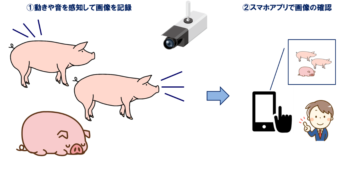 活動紹介 ひろしまｉｔ融合フォーラム研究会 研究 学習現場へのiot Ai導入による農業高校の未来にむけた研究